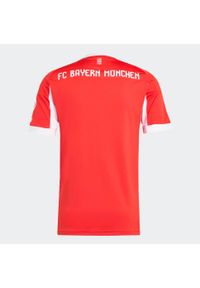 Adidas - Koszulka piłkarska ADIDAS Bayern Monachium 25/26 domowa. Sport: piłka nożna