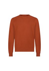 Lee - LEE MĘSKI SWETER CLEAN RAGLAN SWEATER SWEET MAPLE 112355672 LD46014970. Długość rękawa: raglanowy rękaw #6
