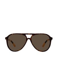Polo Ralph Lauren - Okulary przeciwsłoneczne 0PH4173. Kolor: brązowy