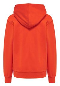 Bluza z kapturem dla dzieci Hummel Cuatro. Typ kołnierza: kaptur. Kolor: czerwony
