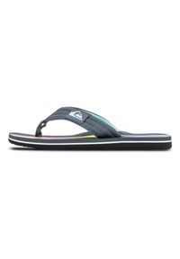 Quiksilver - Sandały chłopięce MOLOKAI LAYBACK. Kolor: szary, niebieski, wielokolorowy. Materiał: bawełna. Sezon: lato