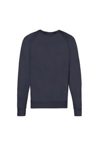 FRUIT OF THE LOOM - Lekki Męski Sweter Raglanowy. Kolor: niebieski. Długość rękawa: raglanowy rękaw