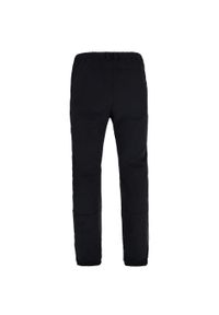 Viking - Spodnie trekkingowe ocieplane męskie VIKING Greso Man czarne. Kolor: czarny. Długość: długie #2