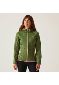 Regatta - Pikowana kurtka damska Andreson V Hybrid. Kolor: zielony. Materiał: puch. Sport: turystyka piesza #1