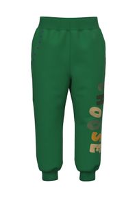 Name it - NAME IT Spodnie dresowe 13219374 Zielony Regular Fit. Kolor: zielony. Materiał: bawełna