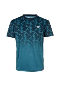 TECNIFIBRE - Koszulka T-Shirt tenisowa męska Tecnifibre X-Loop Tee. Kolor: niebieski. Sport: tenis