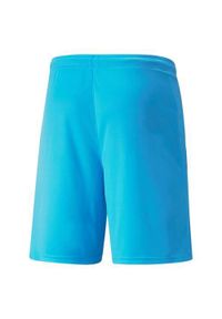 Spodenki sportowe męskie Puma Teamliga. Kolor: czarny, niebieski, wielokolorowy. Materiał: syntetyk, materiał. Długość: krótkie. Sport: piłka nożna #2