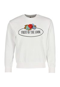 FRUIT OF THE LOOM - Męska Bluza Z Nadrukiem Logo W Stylu Vintage. Kolor: biały. Wzór: nadruk