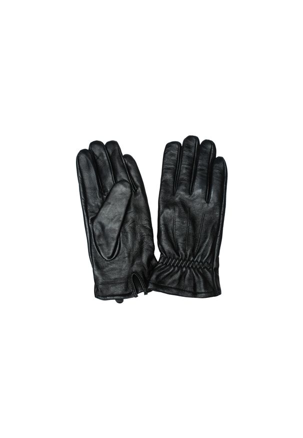 Rękawice skórzane Whistler Barata. Kolor: czarny. Materiał: skóra. Sezon: zima. Sport: narciarstwo