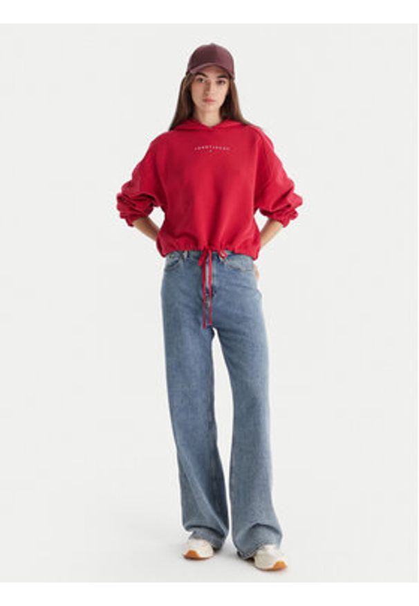 Tommy Jeans Bluza Bling Linear DW0DW21607 Czerwony Regular Fit. Kolor: czerwony. Materiał: bawełna