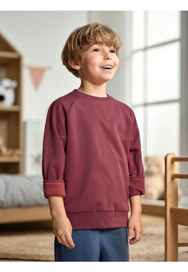 Sinsay - Bluza - bordowy. Kolor: czerwony