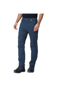 Regatta - Męskie spodnie trekkingowe ocieplane Highton Winter. Kolor: niebieski. Materiał: poliamid, elastan