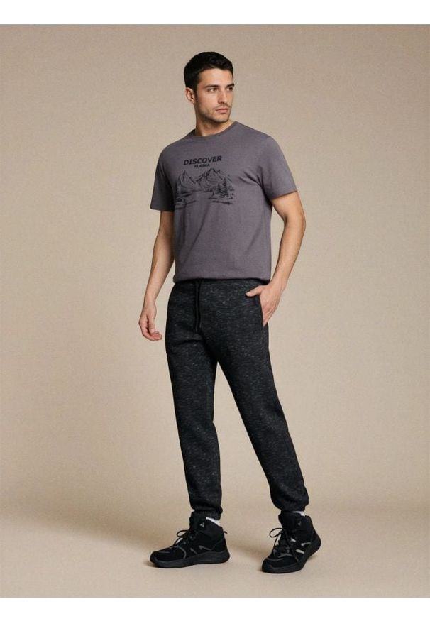 Sinsay - Spodnie dresowe regular jogger - szary. Kolor: szary. Materiał: dresówka