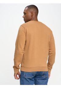 Big-Star - Bluza męska brązowa Bratir 803. Okazja: na co dzień. Kolor: brązowy. Materiał: jeans, bawełna. Wzór: nadruk. Styl: casual, klasyczny #5