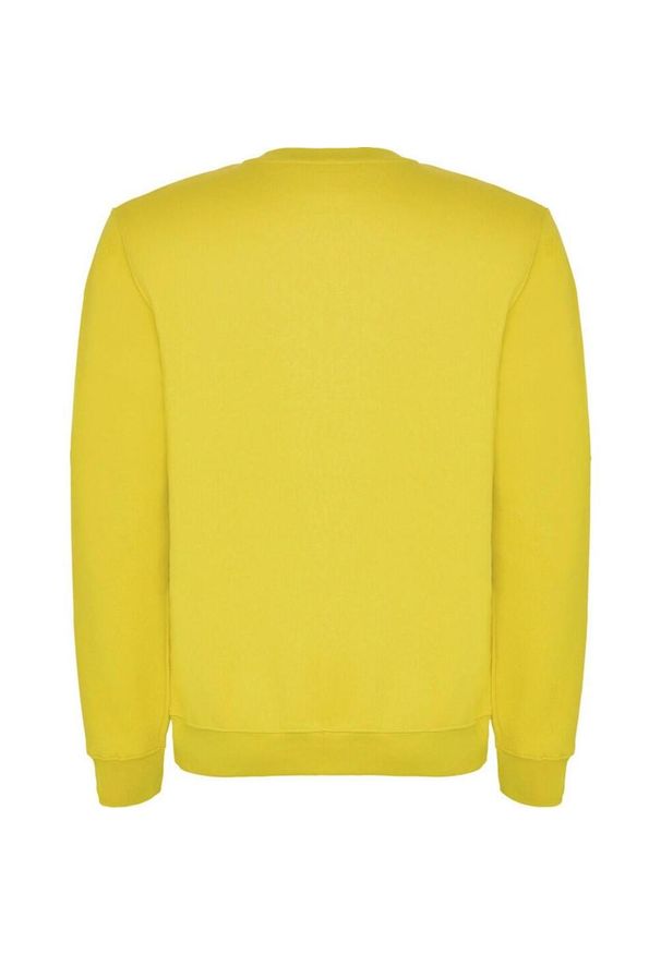 ROLY - Bluza Dziecięca Clasica Z Okrągłym Dekoltem. Kolor: żółty
