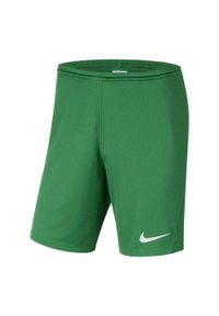 Nike - Męskie Spodenki Dry Park III. Kolor: zielony. Sport: turystyka piesza