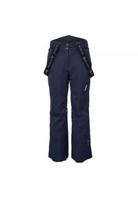 Spodnie narciarskie dla kobiet Iguana Boreta. Kolor: niebieski. Sezon: zima. Sport: narciarstwo #1