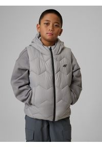 4f - 4F Bezrękawnik z wypełnieniem syntetycznym chłopięcy - szara 128 (7-8 lat). Okazja: na spacer, na co dzień, na uczelnię. Typ kołnierza: kołnierzyk stójkowy. Kolor: szary. Materiał: syntetyk. Długość rękawa: bez rękawów. Sezon: lato. Styl: casual #1