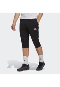 Adidas - Entrada 22 3/4 Pants. Kolor: czarny. Materiał: materiał. Sport: piłka nożna