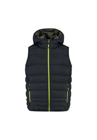 Dziecięca kurtka bez rękawów z kapturem CMP. Typ kołnierza: kaptur. Kolor: szary, wielokolorowy, brązowy, czarny. Długość rękawa: bez rękawów. Styl: sportowy #1