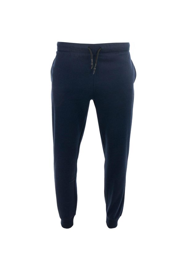 ZOOPLEMENTS - Spodnie dresowe męskie Athl. DPT. Rametto granatowe. Kolor: niebieski. Materiał: dresówka