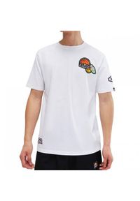 Koszulka sportowa męska Ellesse SHV20120908. Kolor: biały. Długość rękawa: krótki rękaw. Długość: krótkie