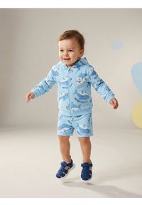 Sinsay - Bawełniane szorty - błękitny. Kolor: niebieski. Materiał: bawełna #1