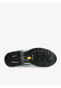 Buty trekkingowe damskie Zamberlan Amelia GTX. Kolor: zielony