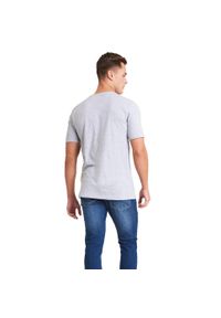 AWDIS - Koszulka Dla Dorosłych Unisex Triblend. Kolor: szary