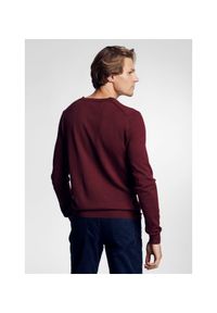 Ochnik - Sweter męski. Kolor: czerwony. Materiał: akryl. Długość: długie. Styl: klasyczny #2