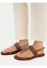 U.S. Polo Assn. Sandały EO-CASSIE001W/6TY1 Brązowy. Kolor: brązowy. Materiał: materiał #5