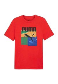 Puma Koszulka Graphics Summer Sports Ii 62790911. Kolor: czerwony