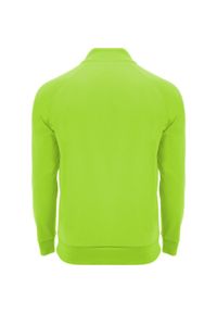 ROLY - Bluza Z Długim Rękawem Dla Dorosłych Unisex Epiro Quarter Zip. Kolor: zielony. Długość rękawa: długi rękaw. Długość: długie