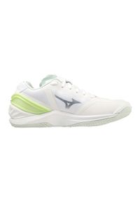 Buty halowe Mizuno Wave Stealth Neo. Kolor: zielony, biały, wielokolorowy. Model: Mizuno Wave. Sport: piłka ręczna