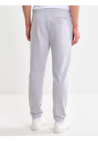 Big-Star - Spodnie męskie dresowe szare Brutus 901. Kolekcja: plus size. Kolor: szary. Materiał: dresówka. Wzór: nadruk, aplikacja #2