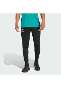 Adidas - Spodnie treningowe All Blacks. Kolor: czarny, niebieski, wielokolorowy. Sport: piłka nożna