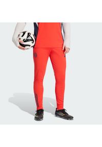 Adidas - Spodnie treningowe FC Bayern 2025/2026 Tiro25 Competition. Kolor: czerwony. Materiał: tkanina. Sport: piłka nożna #1