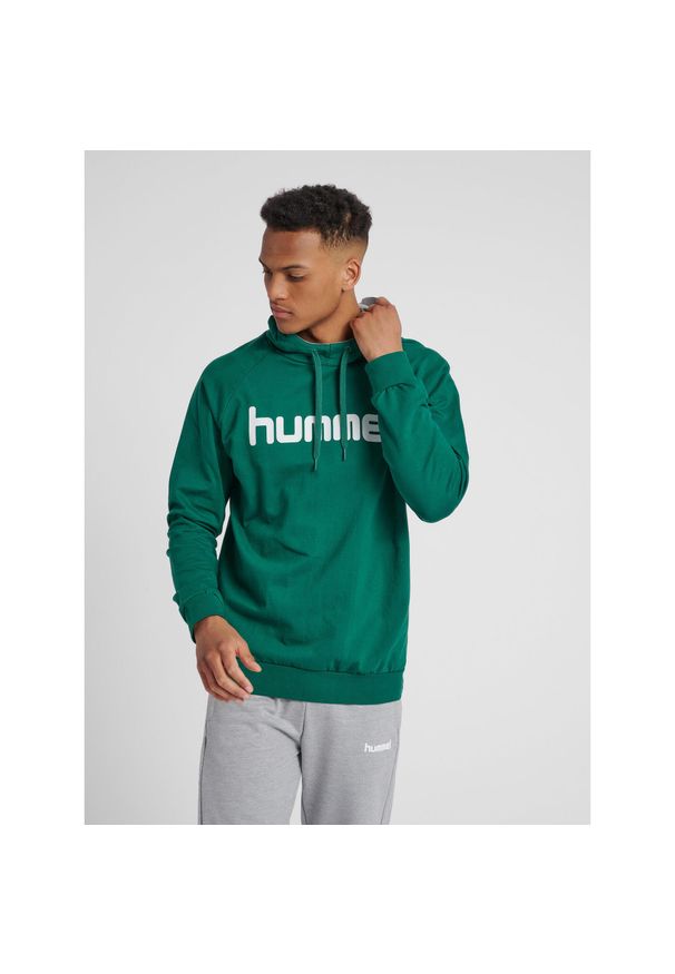 Bluza do piłki ręcznej męska Hummel Cotton Logo z kapturem. Typ kołnierza: kaptur. Kolor: biały, zielony, wielokolorowy