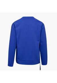 Diadora - Bluza męska DIADORA SWEATSHIRT CREW TROFEO. Kolor: niebieski