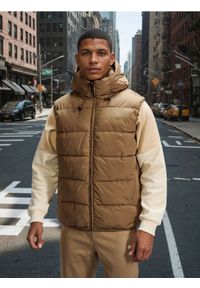 Sinsay - Pikowana kamizelka puffer z kapturem - beżowy. Kolor: beżowy #1