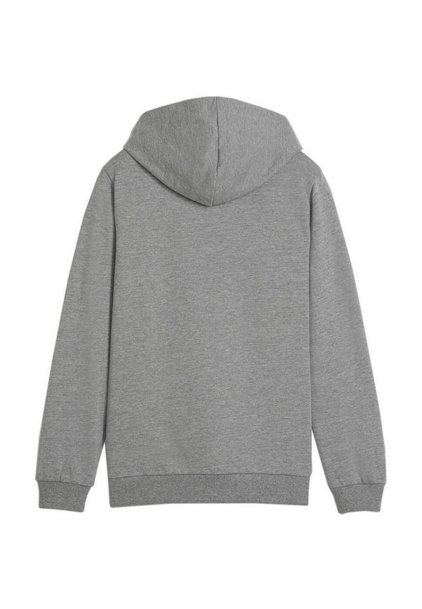 Puma - Bluza Z Kapturem Dziecięca Team Goal Casuals. Typ kołnierza: kaptur. Kolor: szary