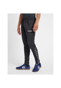 Spodnie do biegania Hummel hmlAUTHENTIC Training. Kolor: czarny, wielokolorowy, biały. Sport: piłka nożna #1