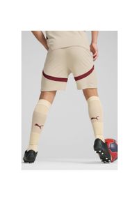 Puma - Męskie szorty FC Red Bull Salzburg 24/25 PUMA Granola Team Regal Red Beige. Kolor: czerwony, wielokolorowy, beżowy. Sport: piłka nożna