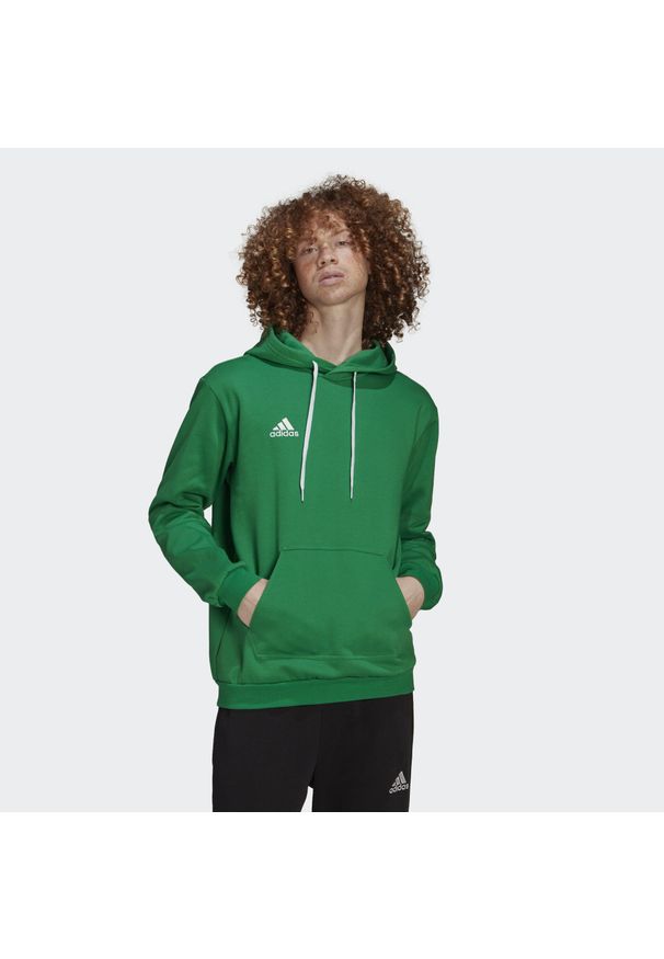 Bluza do piłki nożnej męska Adidas Entrada 22. Typ kołnierza: kaptur. Kolor: zielony, biały, wielokolorowy. Materiał: bawełna, poliester. Sport: piłka nożna