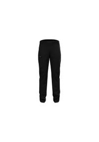 Spodnie tech. męskie Odlo Pants regular length ASCENT. Kolor: czarny. Sezon: lato. Sport: turystyka piesza #1