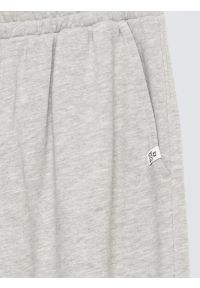 Big-Star - Spodnie chłopięce dresowe szare Polis 901. Okazja: na co dzień, na uczelnię. Kolor: szary. Materiał: dresówka. Wzór: aplikacja. Styl: casual, sportowy #2