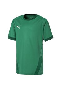 Koszulka dla dzieci Puma teamGOAL 23 Jersey. Kolor: zielony. Materiał: jersey #1