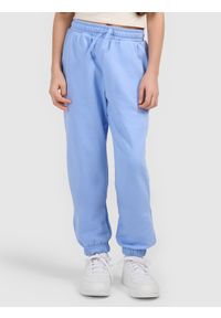 4f - 4F Spodnie dresowe joggery dziewczęce - niebieskie 134 (8-9 lat). Kolor: niebieski. Materiał: dresówka. Sezon: lato #2