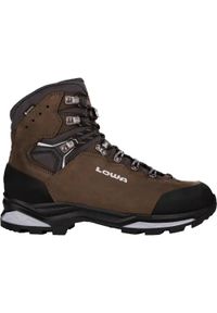 Buty trekkingowe męskie Lowa Camino Evo Gtx. Wysokość cholewki: za kostkę. Kolor: brązowy. Materiał: zamsz, tkanina. Szerokość cholewki: normalna