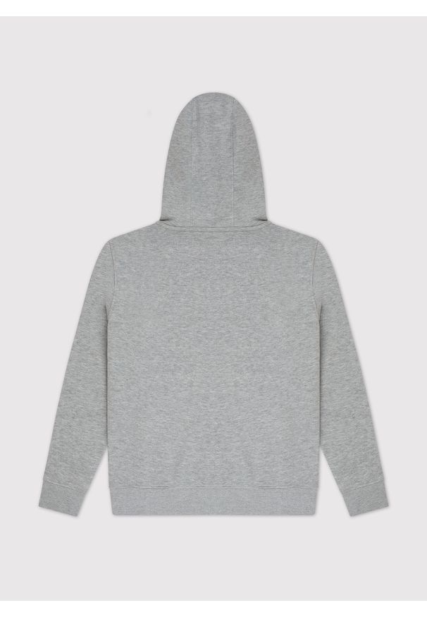 Pako Lorente - Rozpinana bluza dresowa w szarym kolorze. Okazja: na co dzień. Typ kołnierza: kaptur. Kolor: szary. Materiał: dresówka. Wzór: gładki. Styl: casual
